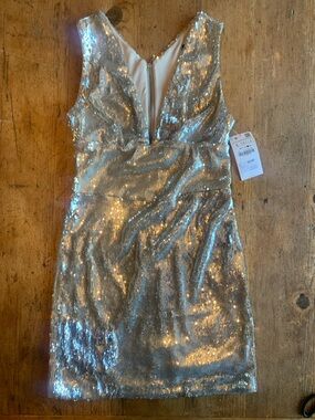 Zara Silver Sequined Mini Dress